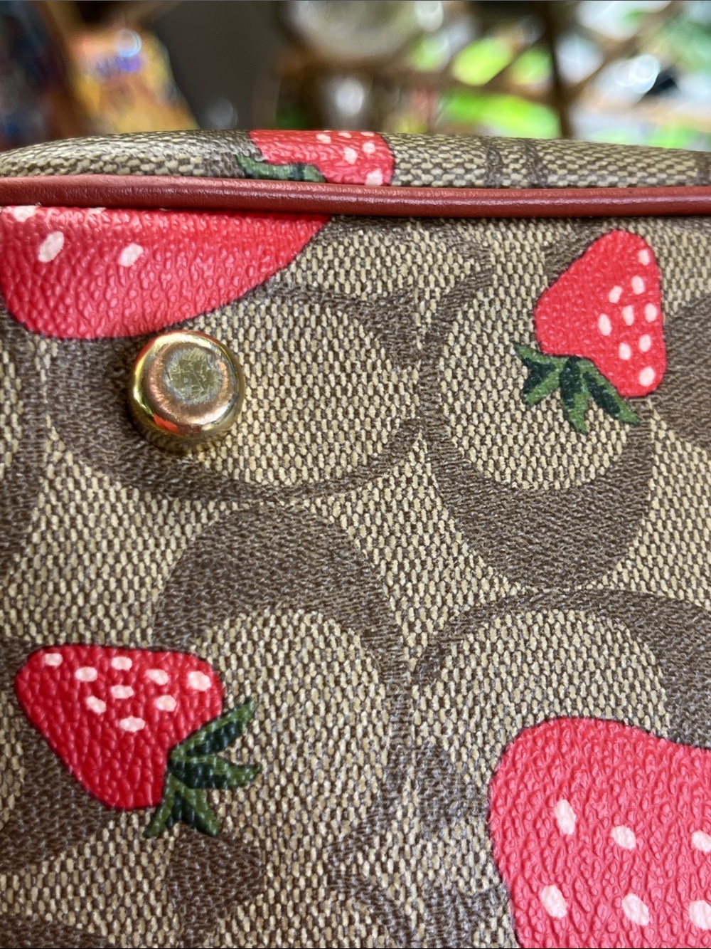 Coach Rowan Satchel with wild Red Strawberry Print - Picture 15 of 16